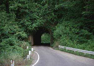 愛知で見つける安全・信頼の中古車ガイド：選び方とおすすめモデル徹底解説