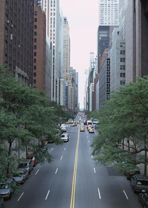 稲沢市周辺の新古車情報！安くて品質の良い車を探すならここ！