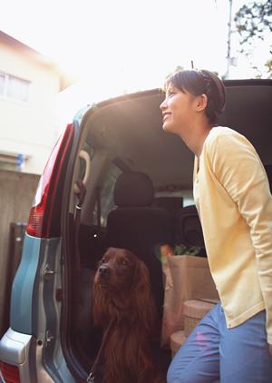 香川県・岡山県で選ばれる自動車販売とアフターサービスの総合拠点：くるまのハヤシ丸亀店の魅力と特徴